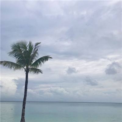 暗黑终结者九游版下载